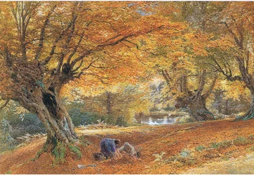 Burnham Beeches